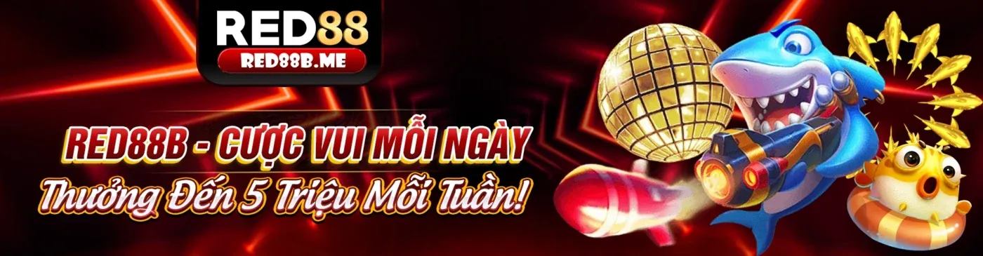 Hình ảnh chính trang tin tức ok789 link vào